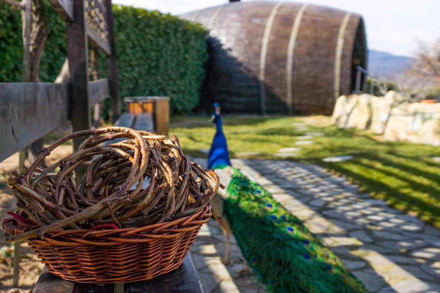 Wine & Spa Complex Starosel Exterior foto
