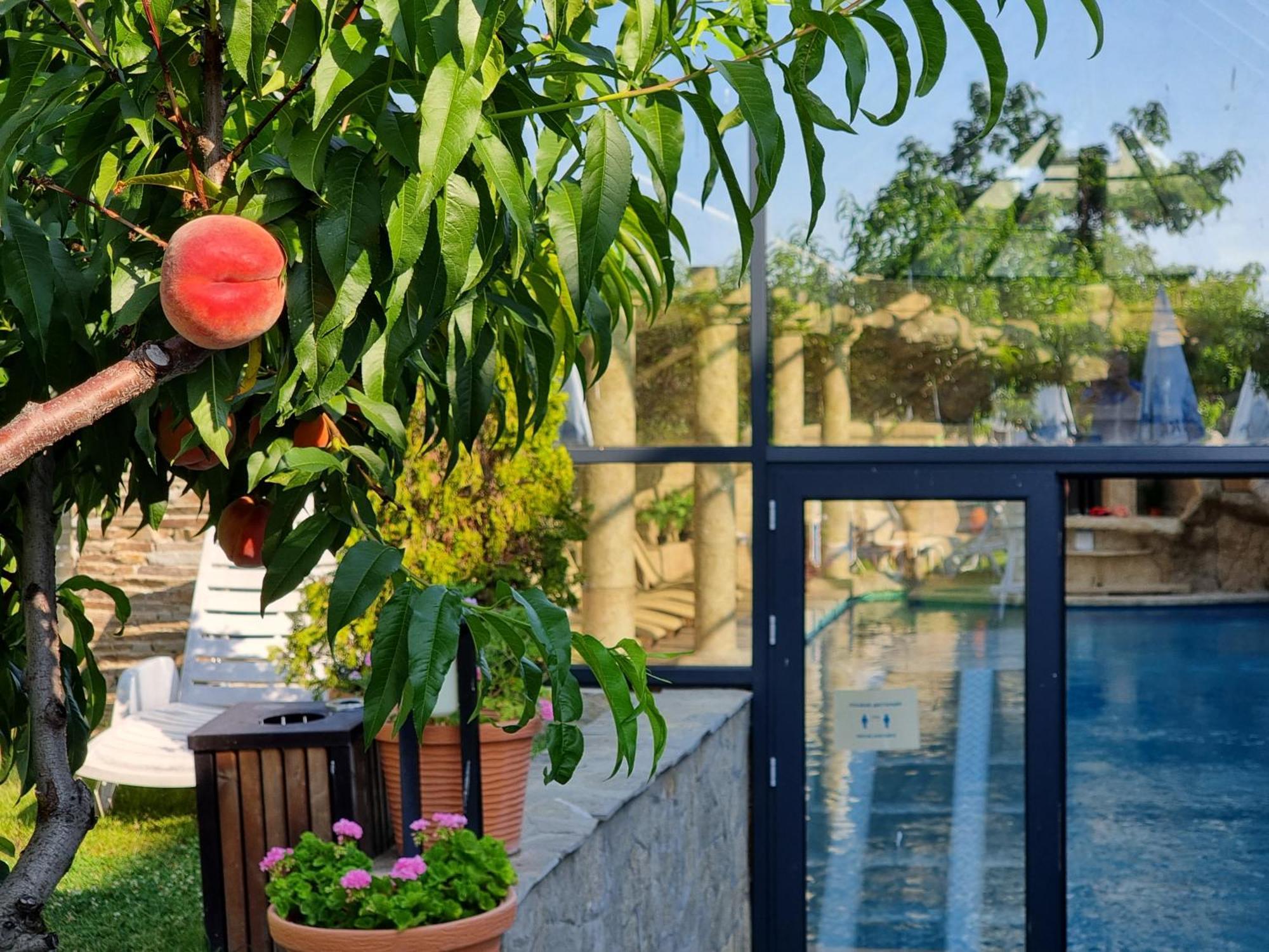 Wine & Spa Complex Starosel Exterior foto