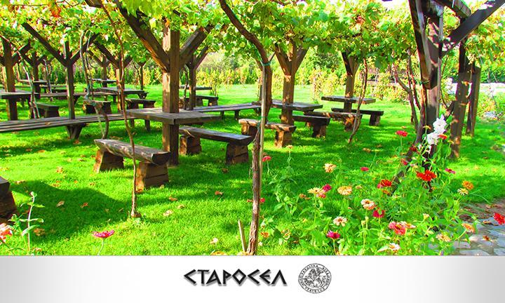 Wine & Spa Complex Starosel Exterior foto